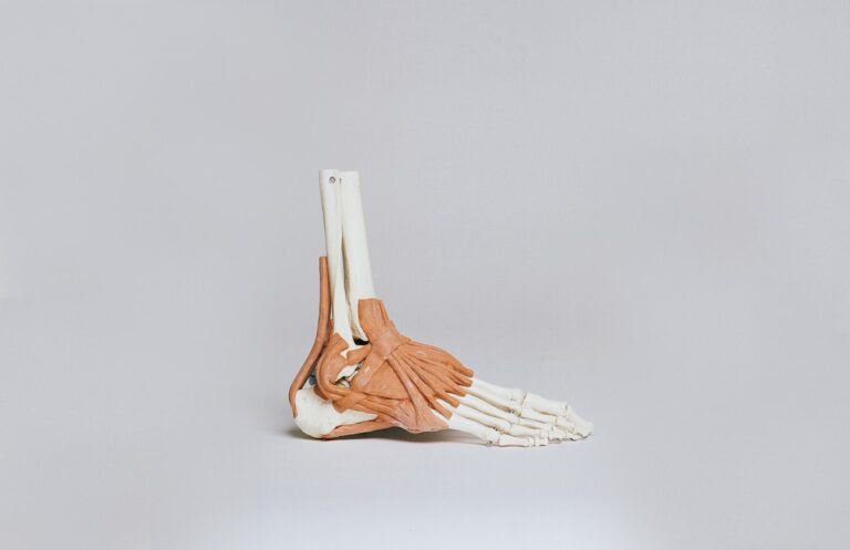 Ankle anatomy diagram showing lateral ligaments - sprained ankle treatment Sydney